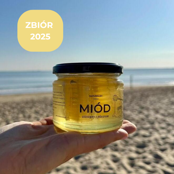 Miód z plastrem miodu 350g